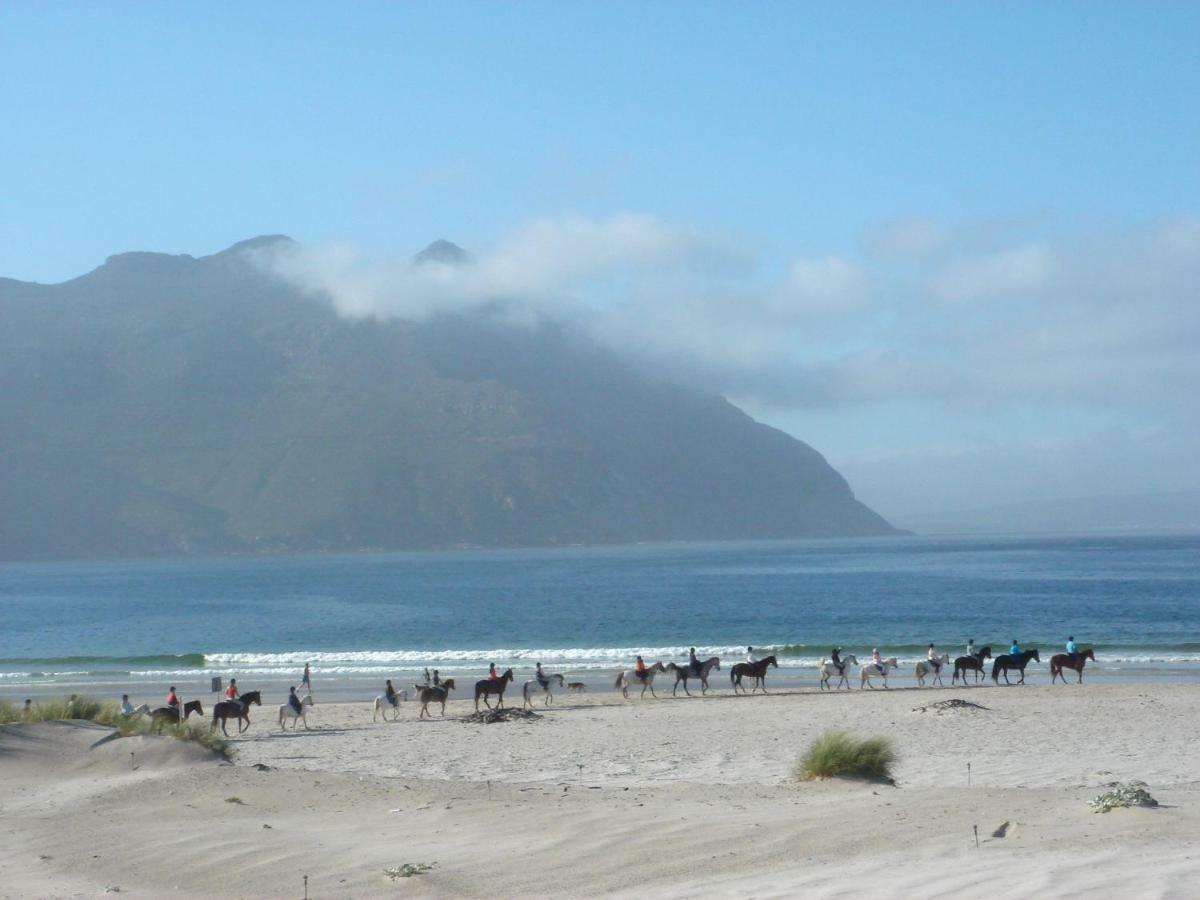 Chapmans Peak Beach Hotel Hout Bay Exterior photo